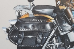 Harley-Davidson-Evolution-1.3