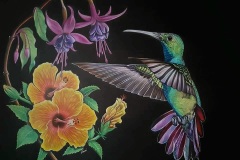 Le-Colibri