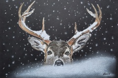 Un-Cerf-en-Hiver